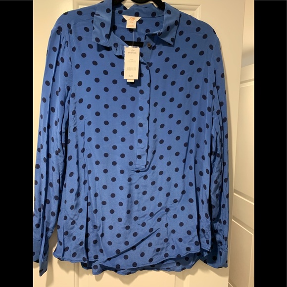 Beautiful Blue Polka Dot Button Down Shirt - Picture 1 of 3